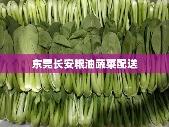 东莞长安粮油蔬菜配送