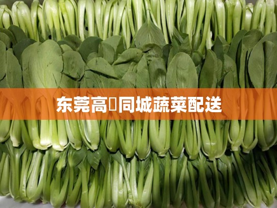 东莞高埗同城蔬菜配送