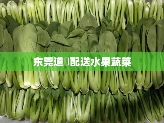 东莞道滘配送水果蔬菜
