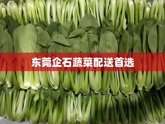 东莞企石蔬菜配送首选