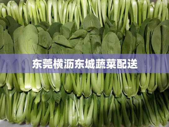 东莞横沥东城蔬菜配送