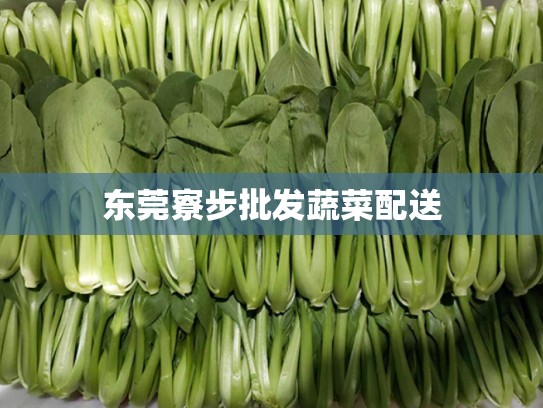 东莞寮步批发蔬菜配送