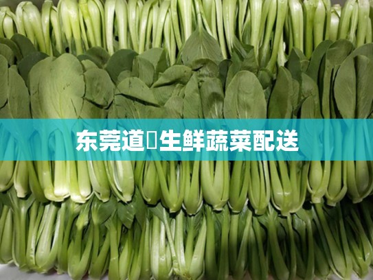 东莞道滘生鲜蔬菜配送