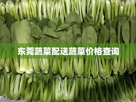 东莞蔬菜配送蔬菜价格查询