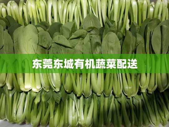 东莞东城有机蔬菜配送