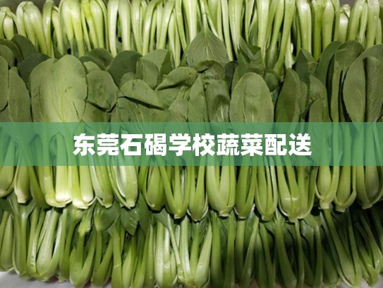 东莞石碣学校蔬菜配送