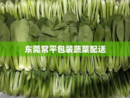 东莞常平包装蔬菜配送