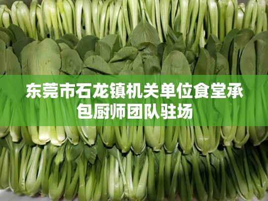 东莞市石龙镇机关单位食堂承包厨师团队驻场