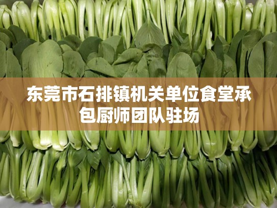 东莞市石排镇机关单位食堂承包厨师团队驻场