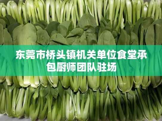 东莞市桥头镇机关单位食堂承包厨师团队驻场