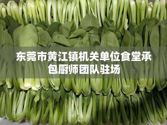 东莞市黄江镇机关单位食堂承包厨师团队驻场