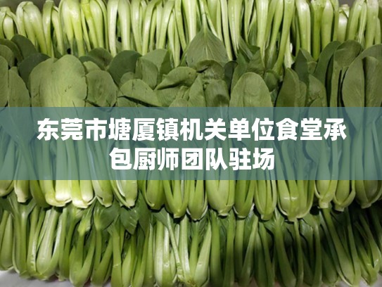 东莞市塘厦镇机关单位食堂承包厨师团队驻场