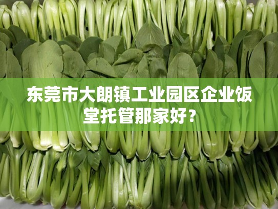 东莞市大朗镇工业园区企业饭堂托管那家好？