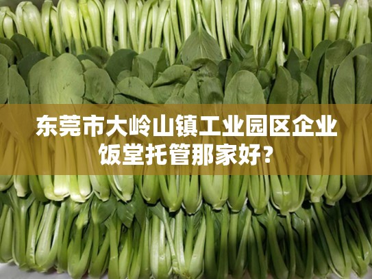 东莞市大岭山镇工业园区企业饭堂托管那家好？