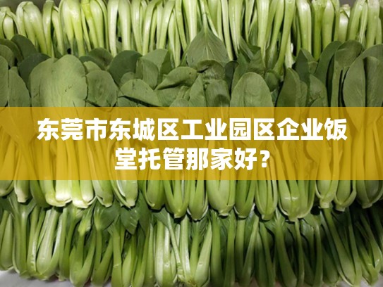 东莞市东城区工业园区企业饭堂托管那家好？