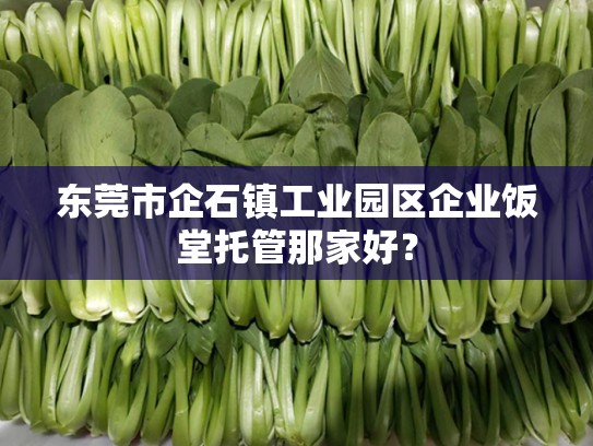 东莞市企石镇工业园区企业饭堂托管那家好？