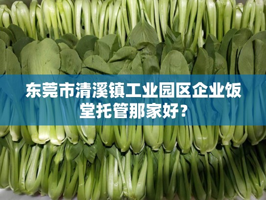 东莞市清溪镇工业园区企业饭堂托管那家好？
