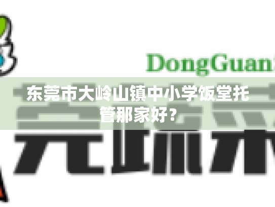 东莞市大岭山镇中小学饭堂托管那家好？