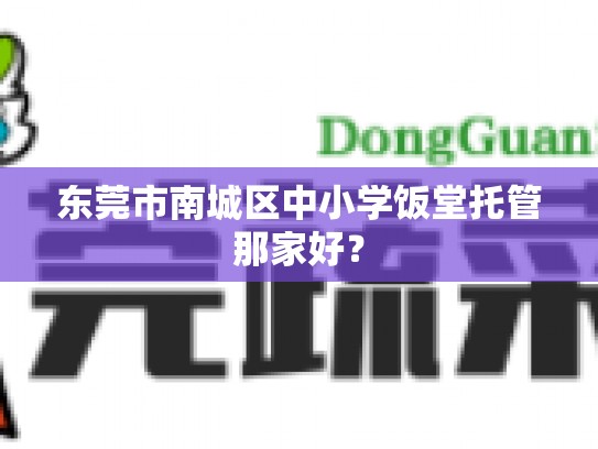 东莞市南城区中小学饭堂托管那家好？