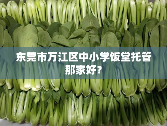 东莞市万江区中小学饭堂托管那家好？