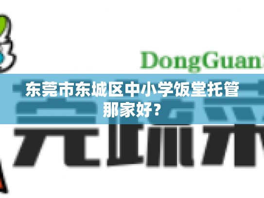 东莞市东城区中小学饭堂托管那家好？