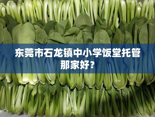东莞市石龙镇中小学饭堂托管那家好？
