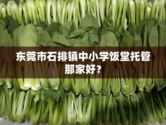 东莞市石排镇中小学饭堂托管那家好？