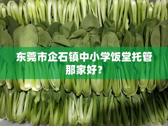 东莞市企石镇中小学饭堂托管那家好？