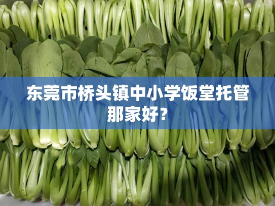 东莞市桥头镇中小学饭堂托管那家好？