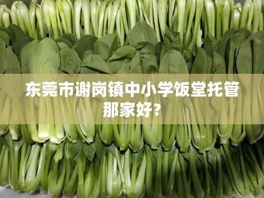 东莞市谢岗镇中小学饭堂托管那家好？