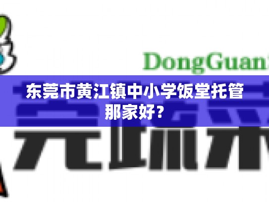 东莞市黄江镇中小学饭堂托管那家好？