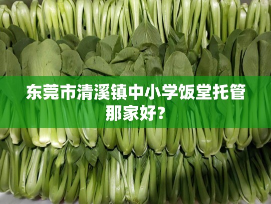 东莞市清溪镇中小学饭堂托管那家好？