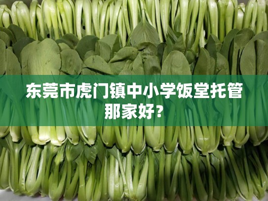 东莞市虎门镇中小学饭堂托管那家好？