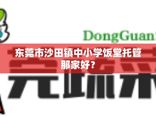 东莞市沙田镇中小学饭堂托管那家好？