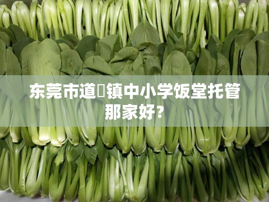 东莞市道滘镇中小学饭堂托管那家好？