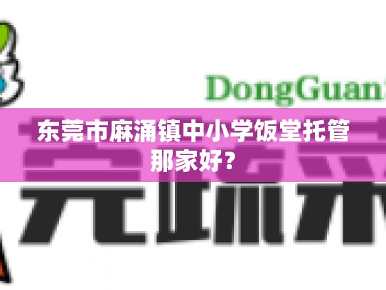东莞市麻涌镇中小学饭堂托管那家好？