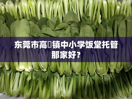 东莞市高埗镇中小学饭堂托管那家好？