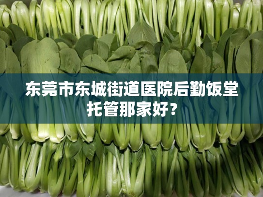 东莞市东城街道医院后勤饭堂托管那家好？