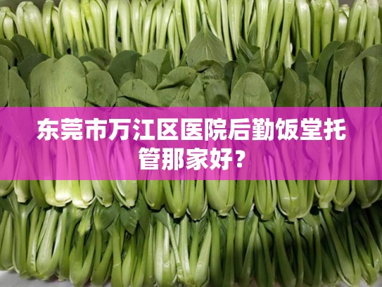 东莞市万江区医院后勤饭堂托管那家好？