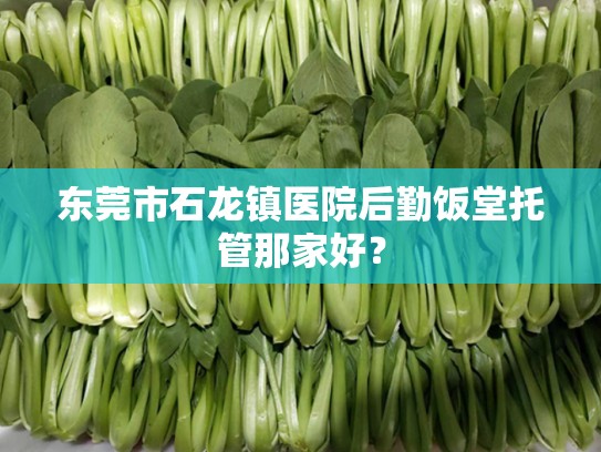 东莞市石龙镇医院后勤饭堂托管那家好？
