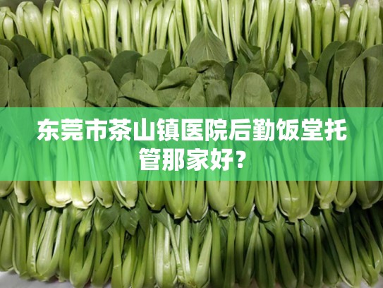 东莞市茶山镇医院后勤饭堂托管那家好？