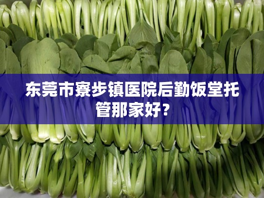 东莞市寮步镇医院后勤饭堂托管那家好？