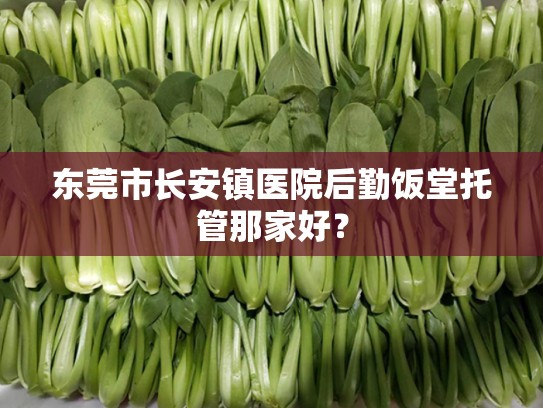 东莞市长安镇医院后勤饭堂托管那家好？