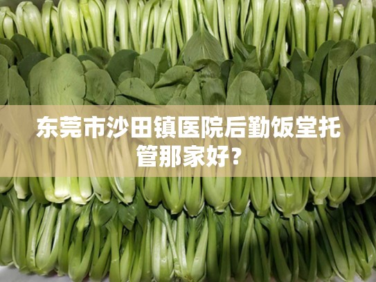 东莞市沙田镇医院后勤饭堂托管那家好？