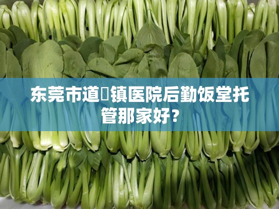 东莞市道滘镇医院后勤饭堂托管那家好？