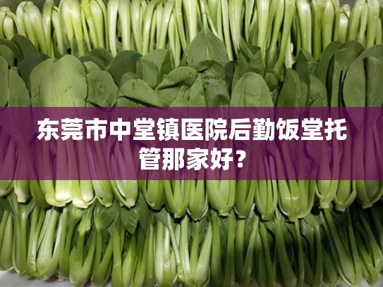 东莞市中堂镇医院后勤饭堂托管那家好？