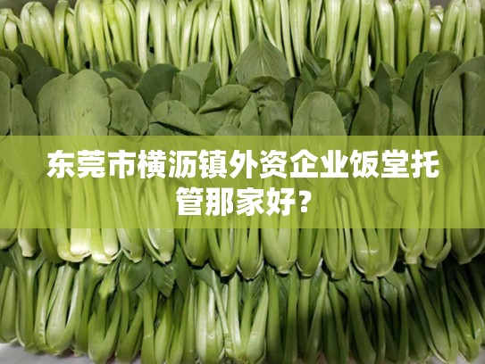 东莞市横沥镇外资企业饭堂托管那家好？