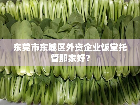 东莞市东城区外资企业饭堂托管那家好？