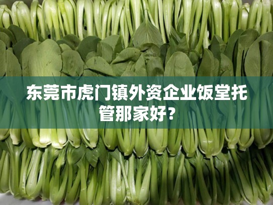 东莞市虎门镇外资企业饭堂托管那家好？