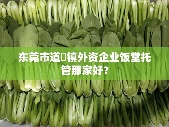 东莞市道滘镇外资企业饭堂托管那家好？